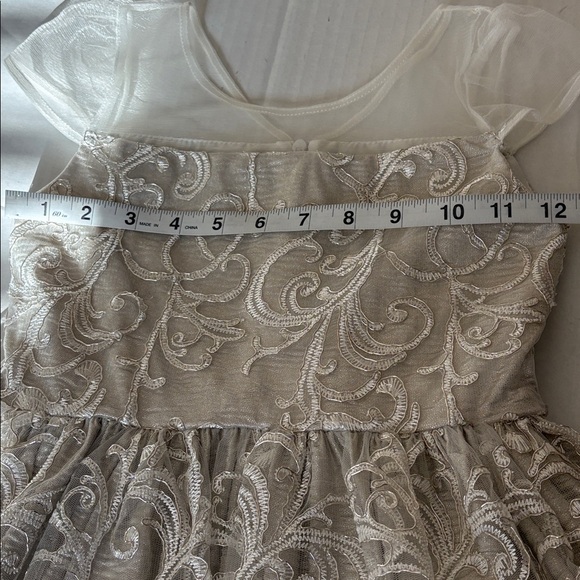 Sweet Heart Rose silver metallic with embroidered trim, tie and zip back,size 6X - Picture 7 of 9